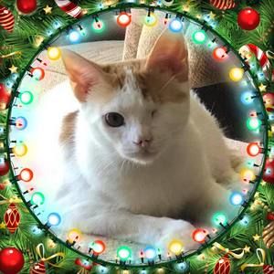 Meet your Posher, Ann